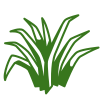 Weed control