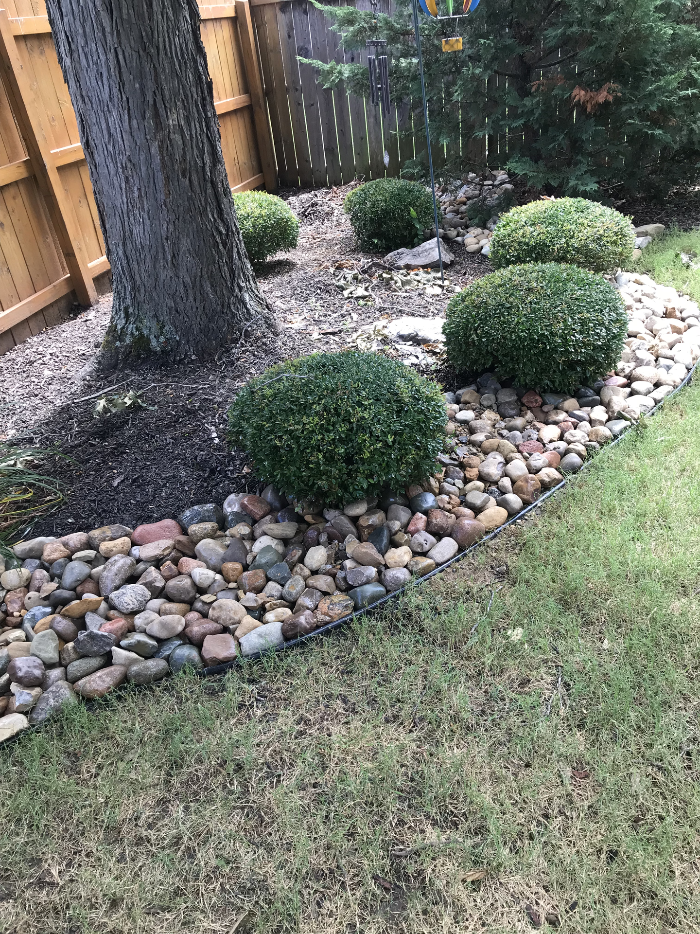 Project photo 1